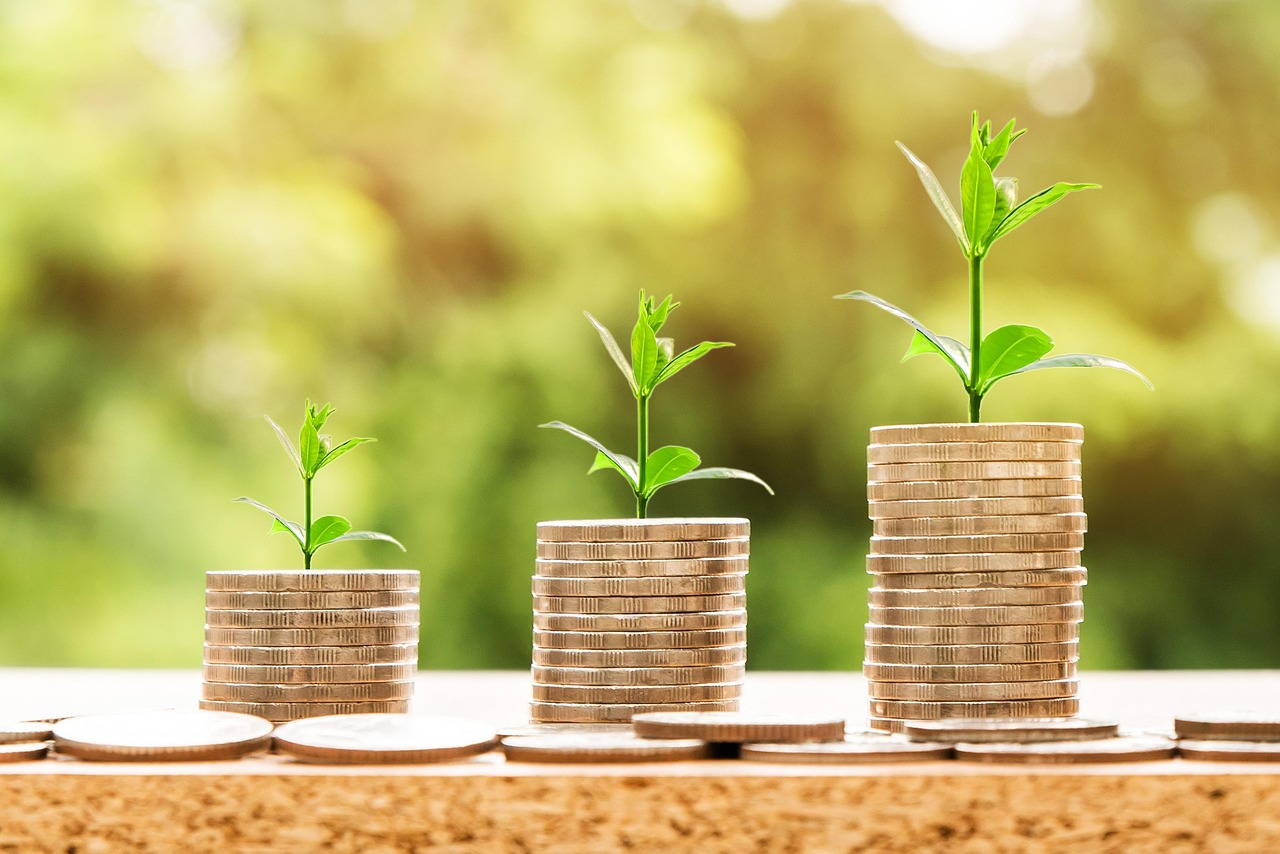 Three ascending stacks of coins with small green plants growing on top