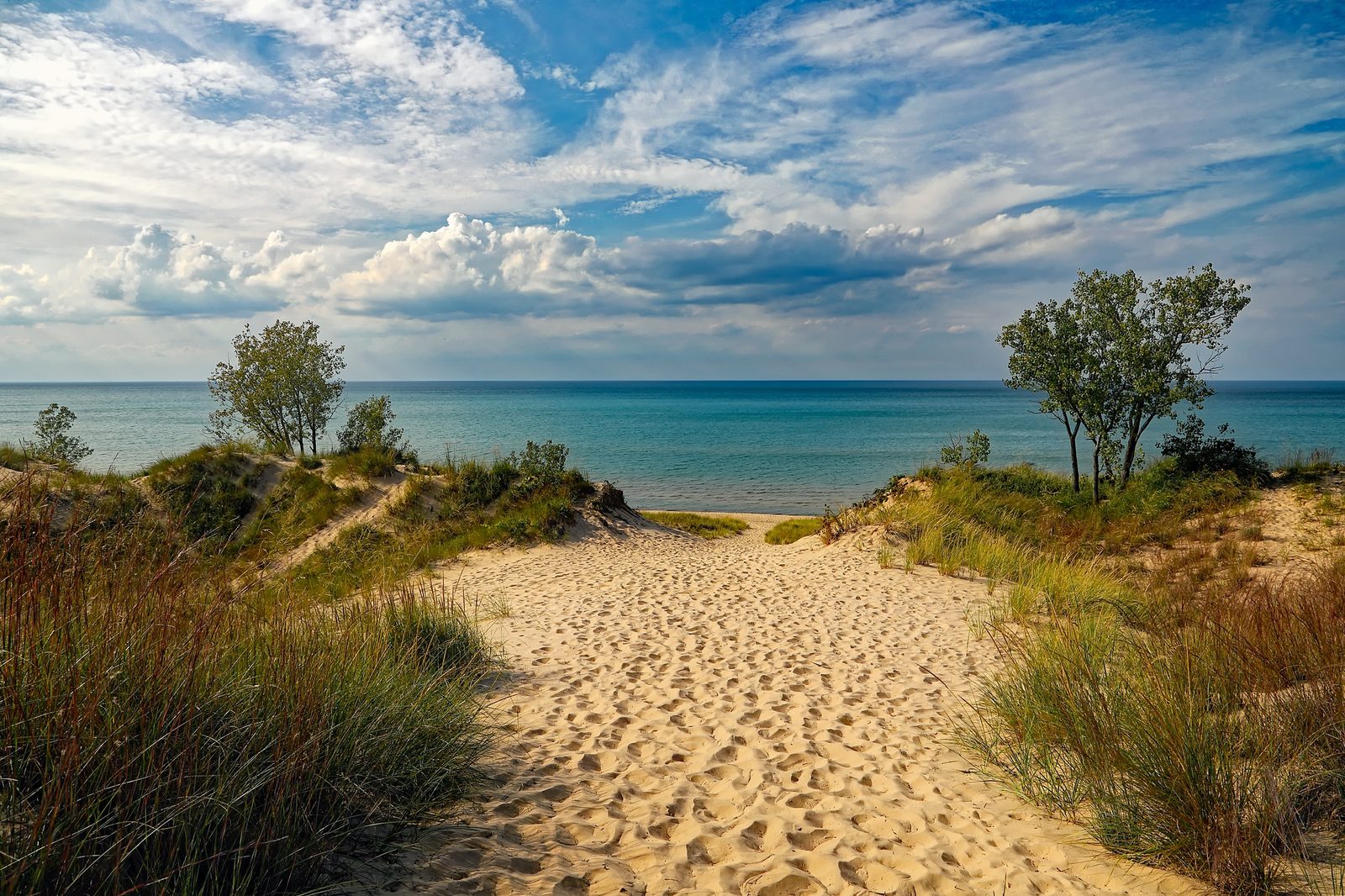 A sandy path through dune grass opening onto a calm lake, used here for a monthly savings and dividend recap.